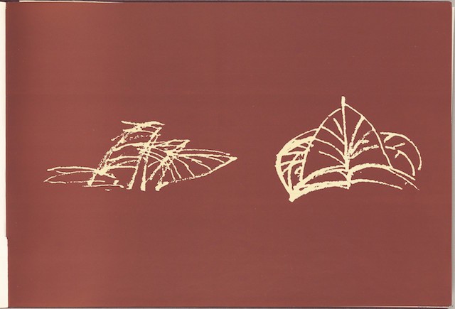 utzon-fronds-sketch.jpeg