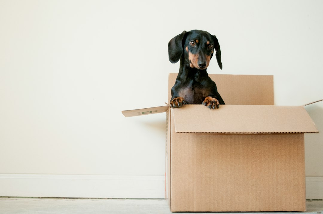 Leaving Substack